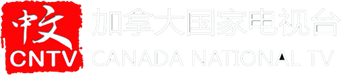 CNTV Logo